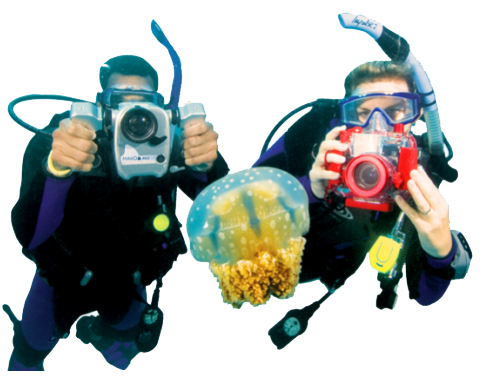 Su Altı Fotoğraf & Video