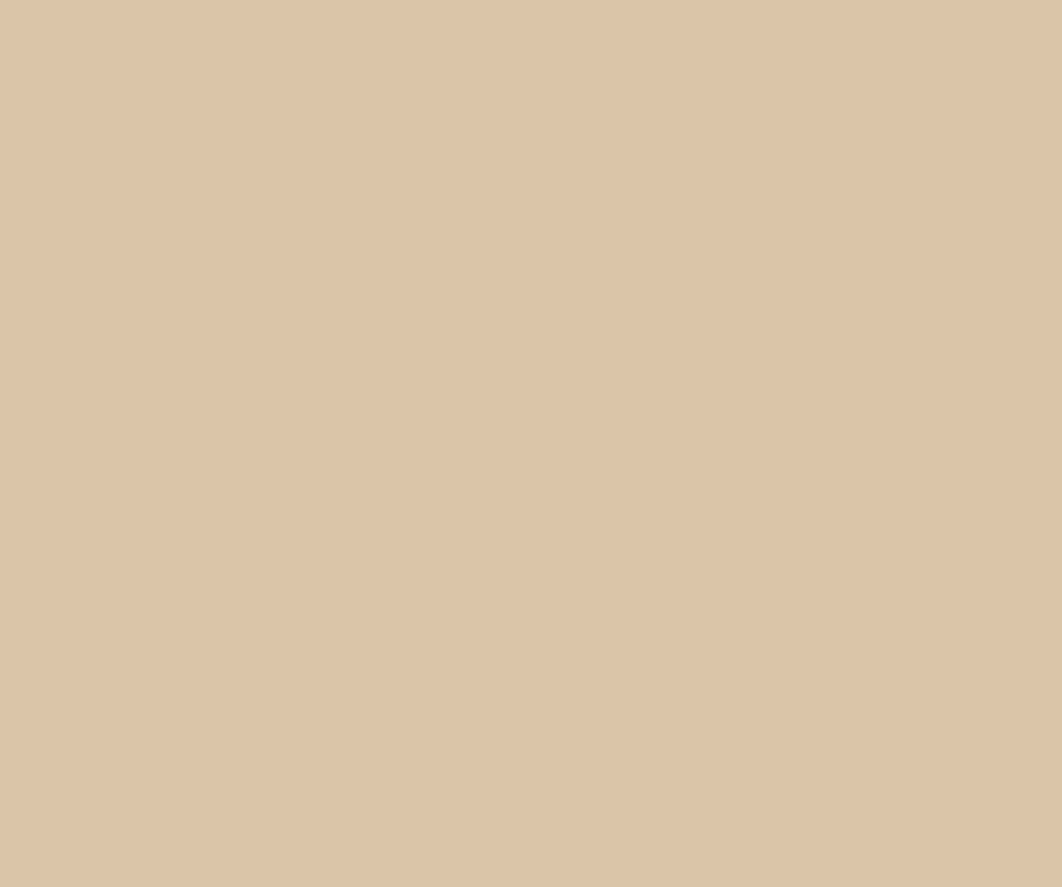 Lastolite LP9051 2.72m x 11m Ivory Kağıt Fon