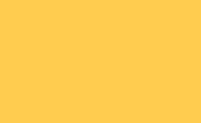 BD Backgrounds Stüdyo Fon 2.72 X 11m (Straw 128)
